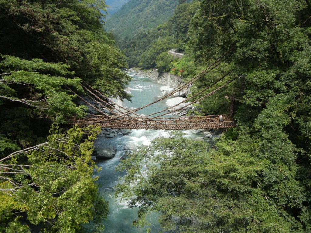 Fig. 3 - 12th century vine bridge made of woven Wisteria vines (since reinforced by hidden steel cables), Iya Valley Shikoku.