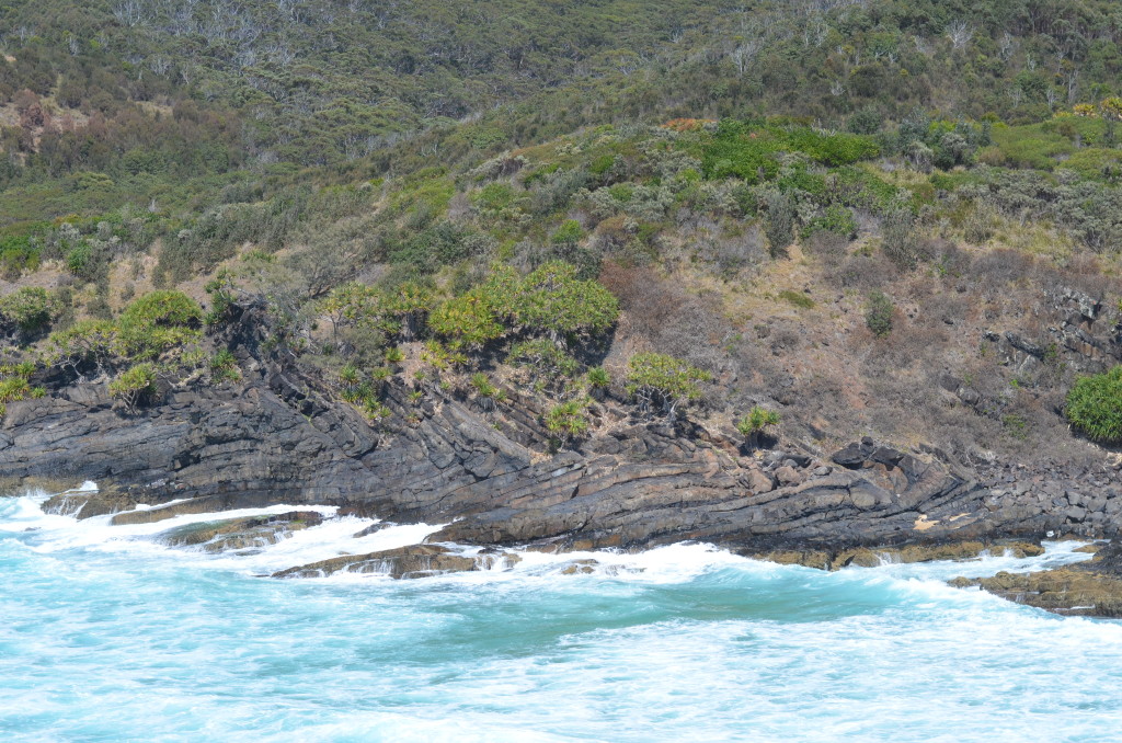 Figure 5: A mesoscopic recumbent fold in Smoky Cape, Nambucca Block, New south Wales, Australia.