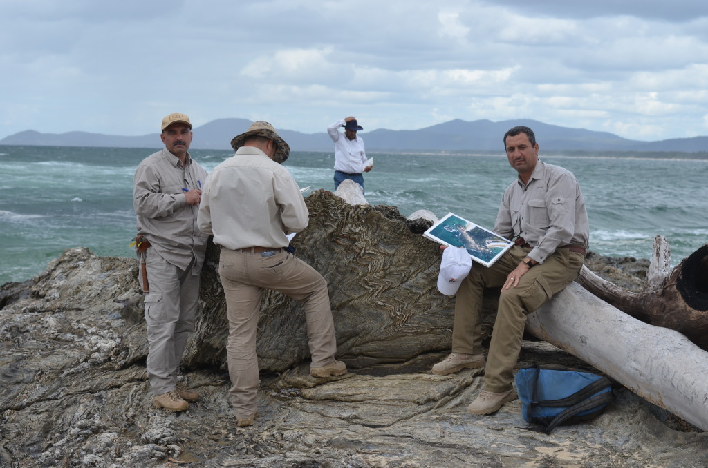 Figure 1: Geologists from the Iraqi Geological Survey, in a structural mapping course at the multi-deformed rocks of Nambucca Heads, New South Wales, Australia.