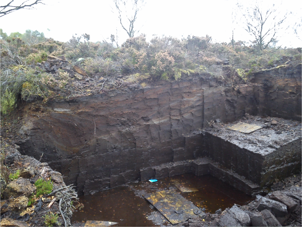 Figure 1. A horizontal cut feature at Sluggan Bog reveals layers of millennium-old peat (photo: Dr. Maarten Blaauw).