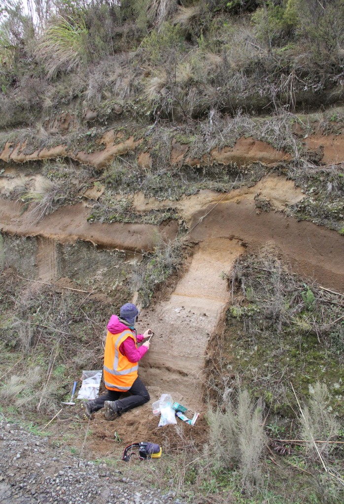 Collecting pumice at an outcrop of the Oruanui supereruption.