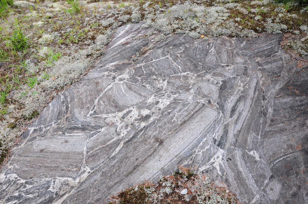 Fig 3. Diatexitic migmatite with re-oriented schollen indicating significant melt loss.