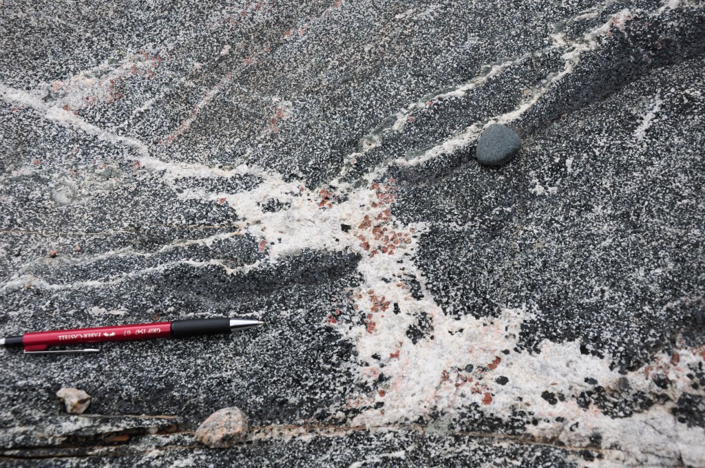 Fig 4. Mafic migmatite with peritectic garnet in the leucosome. Note how smaller leucosomes feed into the larger “melt” pocket (centre). Garnet is almost exclusively confined to leucosome. In places most of the melt has drained from the leucosome leaving behind what seems to be layers/veins of garnet (e.g. top centre).