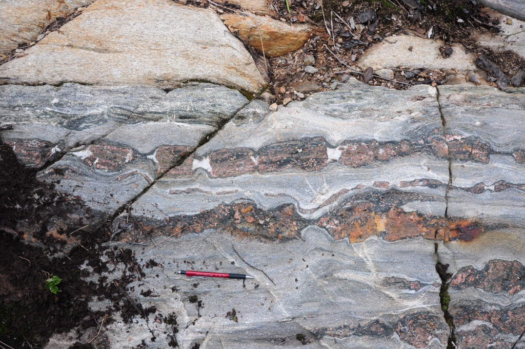 Fig 7. Drawn (mainly lower half of picture) and torn (just above the centre of the picture) boudins in a more competent, garnet-rich layers of a heterogeneous metasedimentary rock.