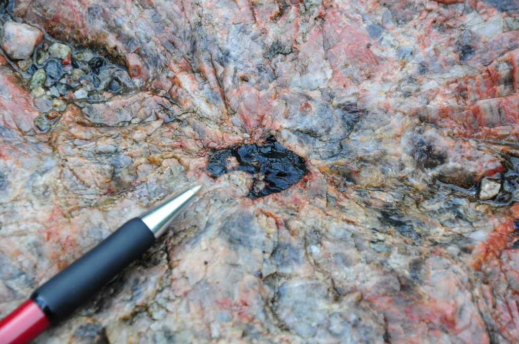 Fig 8. Allanite crystal in relatively coarse-grained granitic rock close to the Shawmere anorthosite.