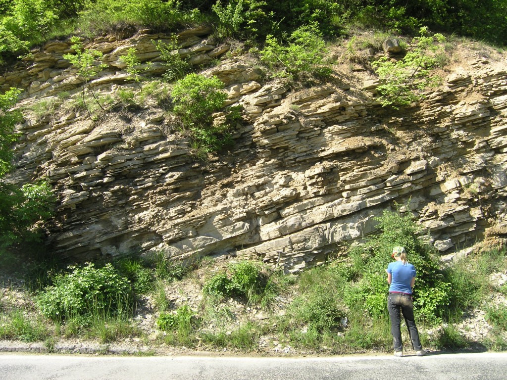 Describing deltaic silt and sandstones