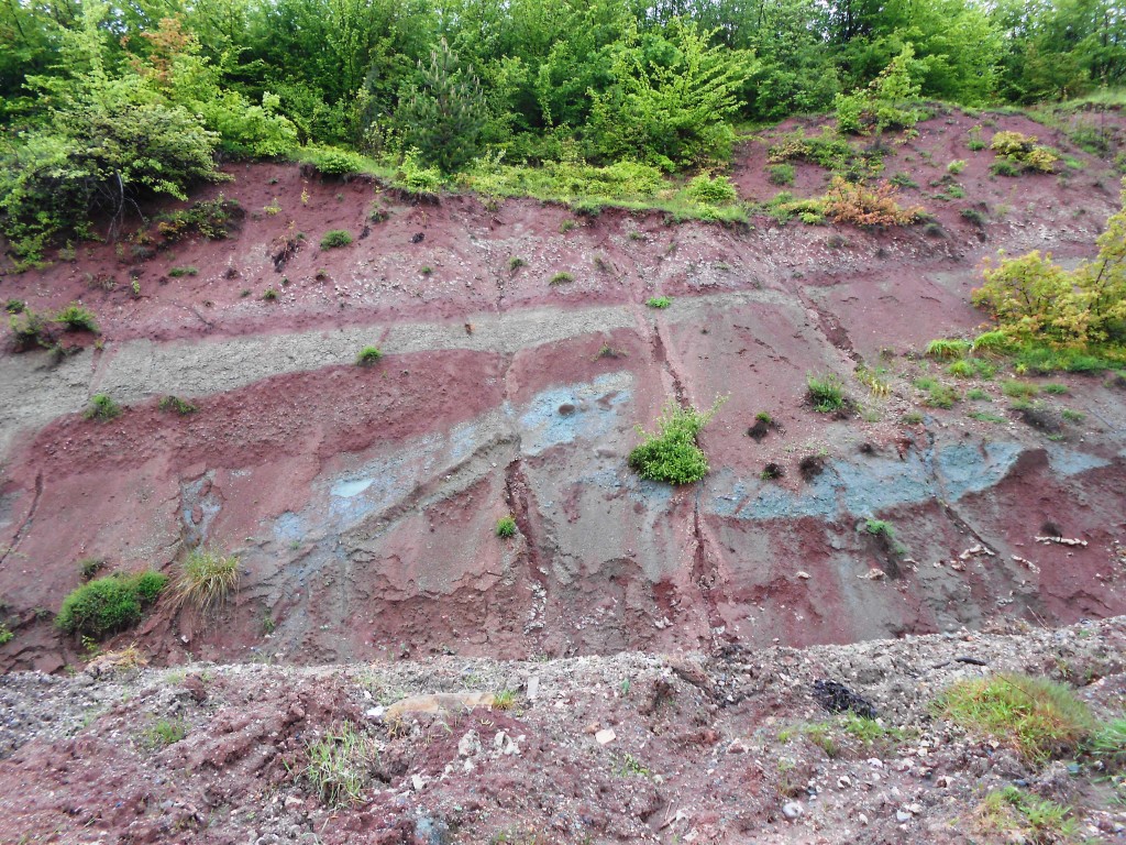 Thrust fault in the bright-colored continental basal series of the basin.