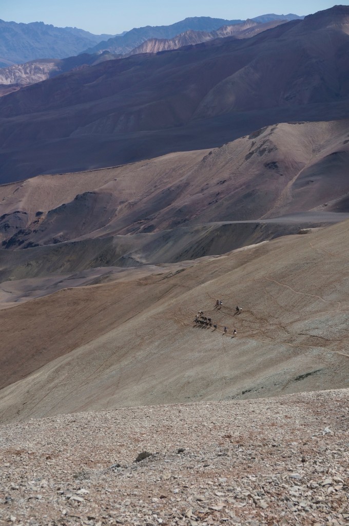 Part of the group going down the Cordón del Espinacito. As you see, there is not an excess of vegetation in the area.