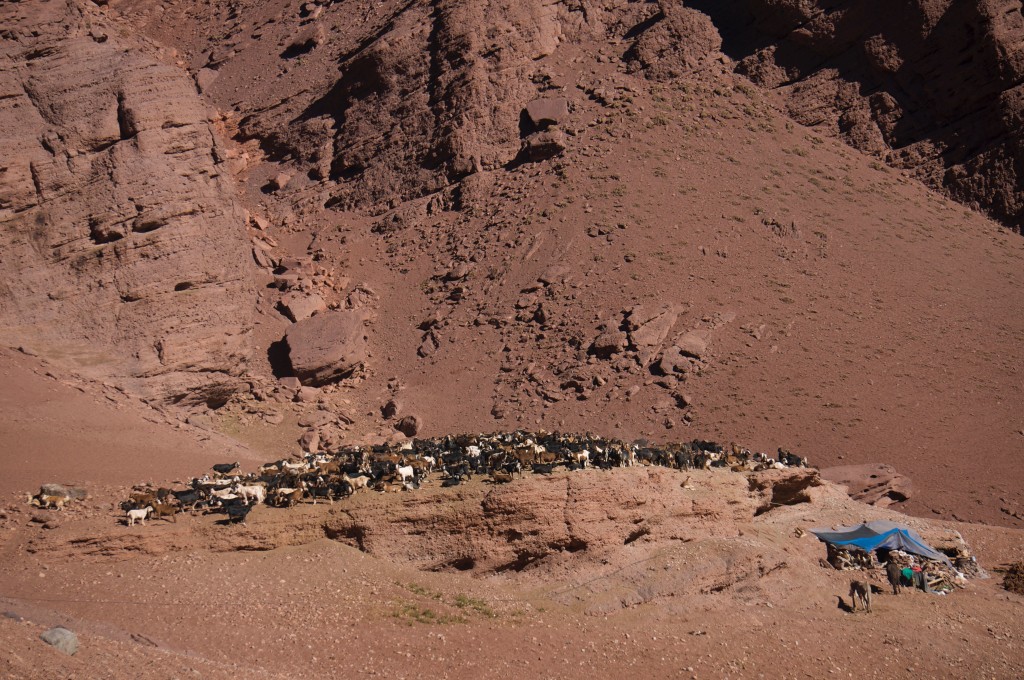 A shepherd’s hut and his goats.