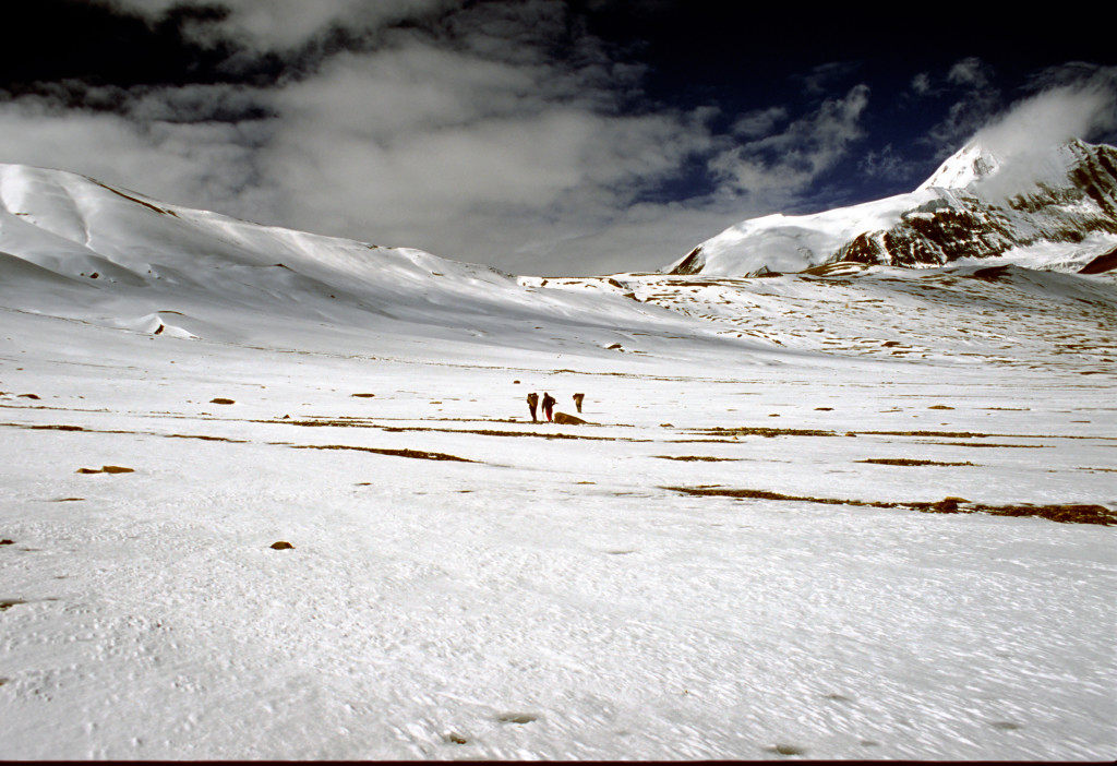 Photo 1. Nepali crew members walking towards French Pass in the Dhaulagiri Himal. (Photo credit – K.Larson)