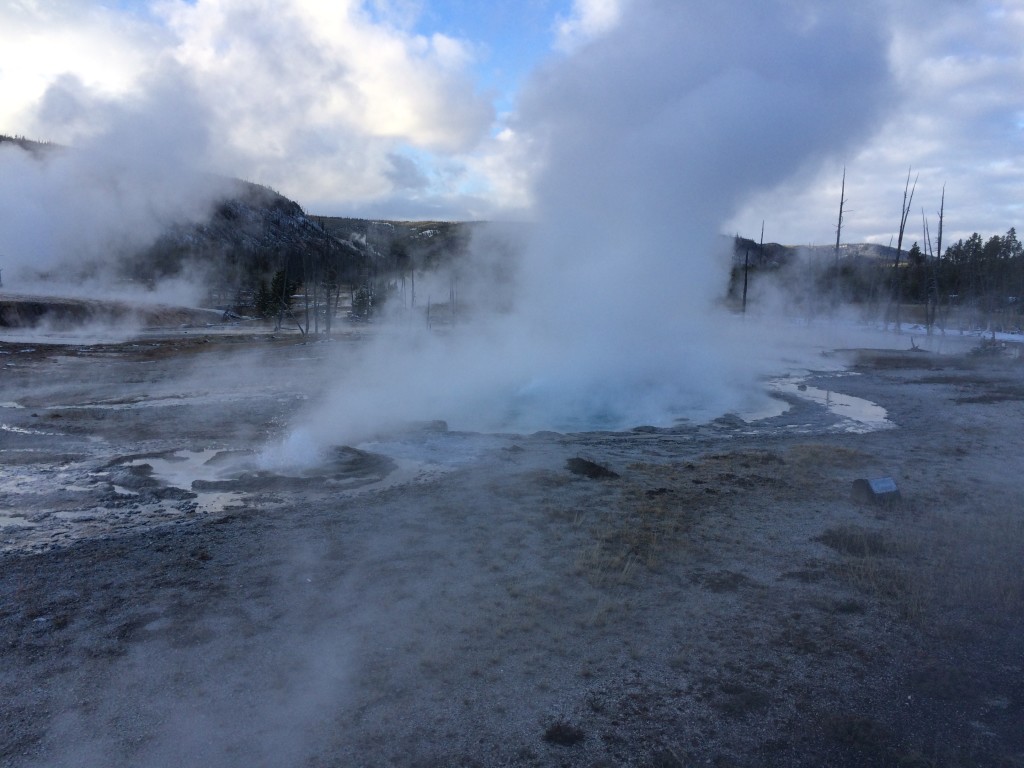 Spouter Geyser mid-eruption.