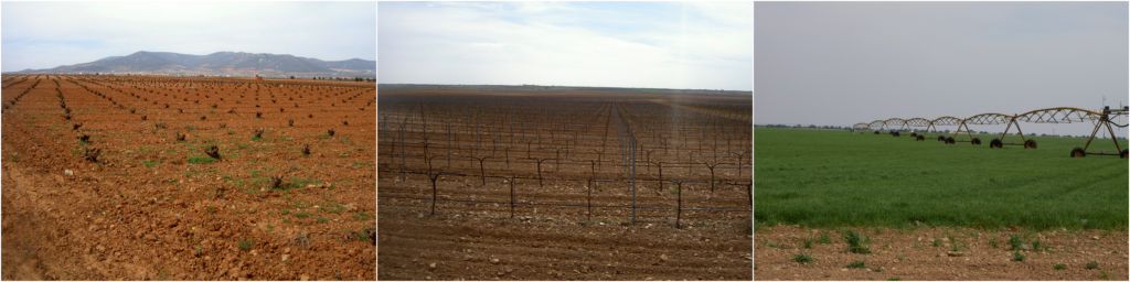 Large-scale agriculture (mainly grapes) requiring large-scale irrigation in the Castilla – La Mancha region in Spain.