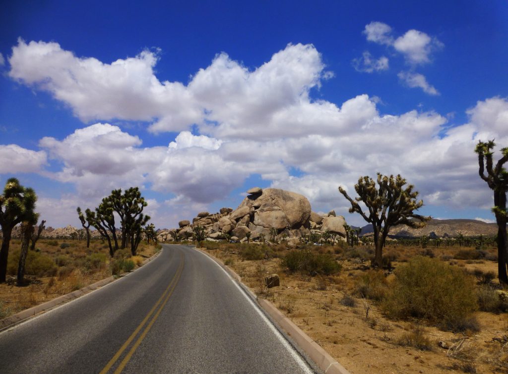 Joshua Tree National Park