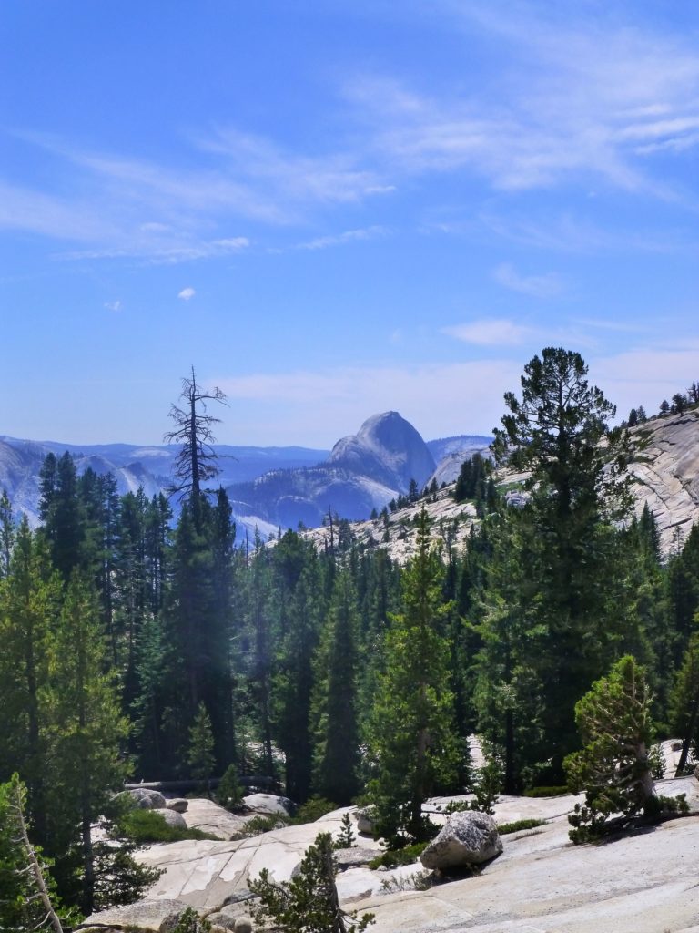 Yosemite & Half Dome