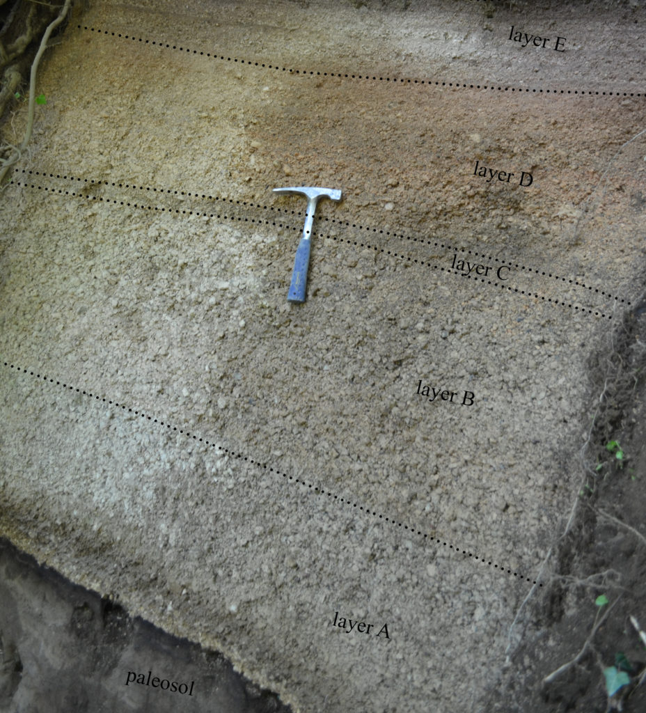 Representative medial Plinian pumice fall outcrop at Visciano at a distance of 44 km from the vent. Layers A–E are fall units.