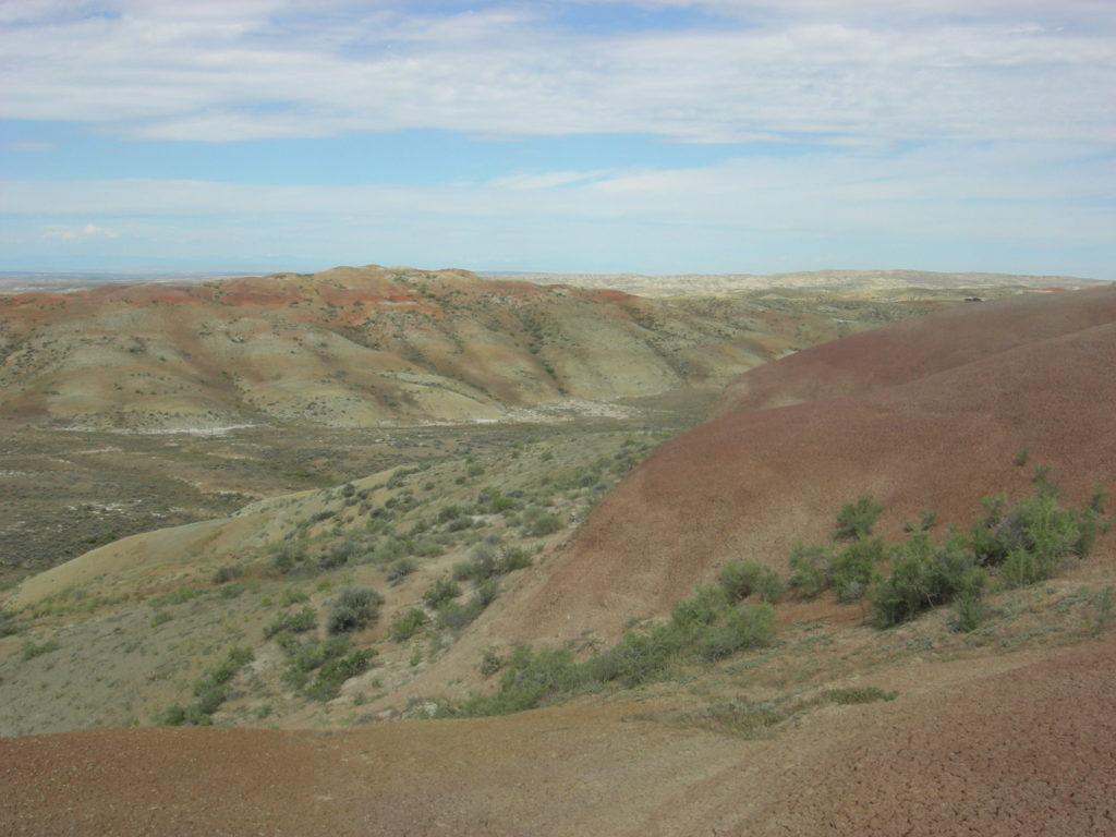 Vivid red PETM paleosols (ancient soils) paint the tops of these eroding hills.