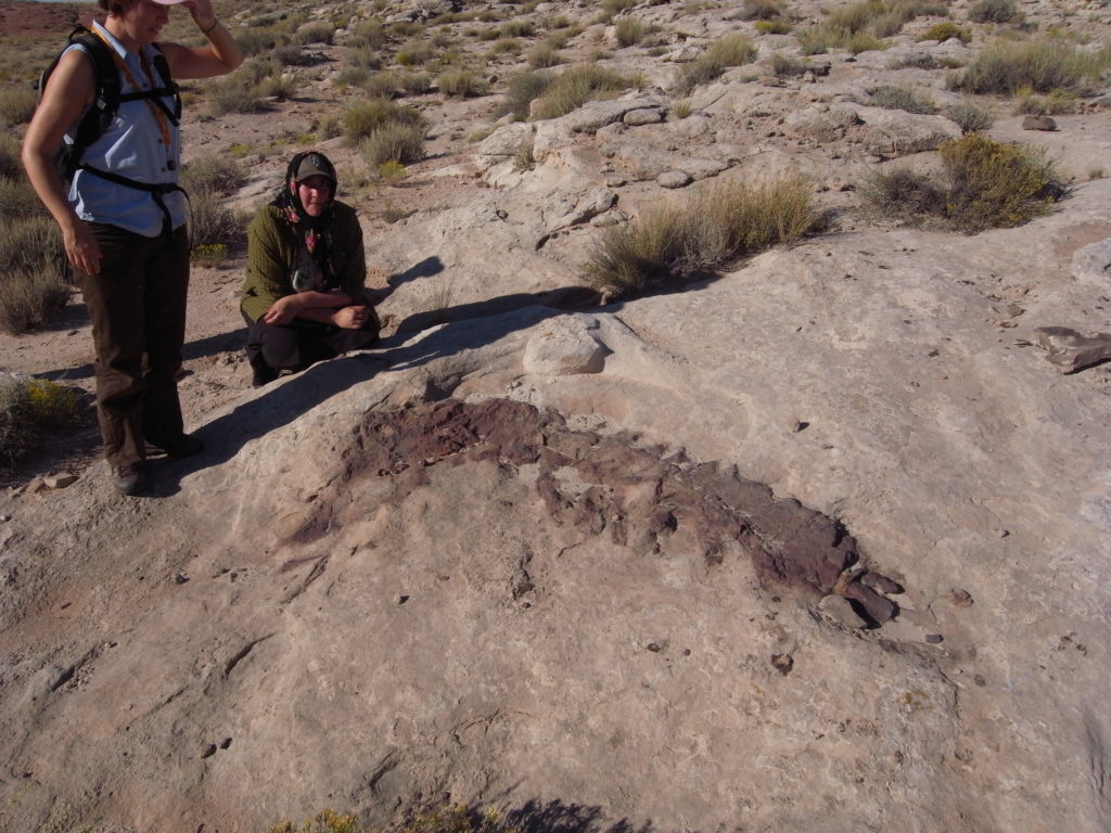 Dino fossil in the Black Dragon Canyon. Students, Mimmi Nilsson and Victoria Beckman