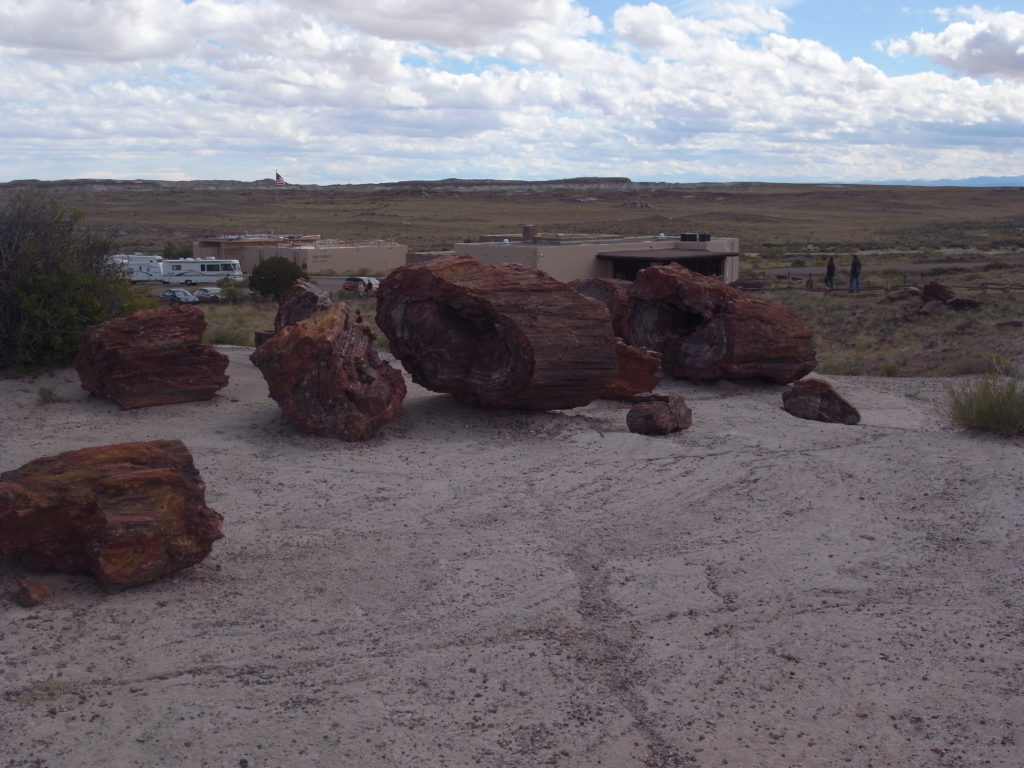 Some petrified wood-logs at the Petrified forest.