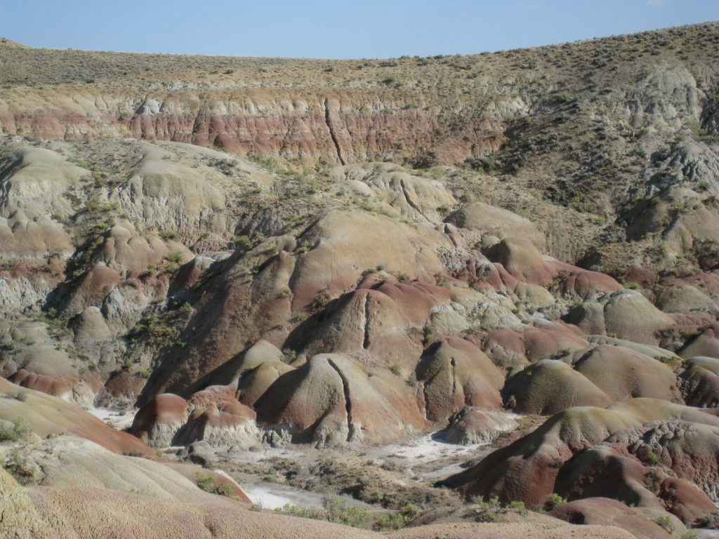 We trench through these soil horizons until we reach hard rock. Rock samples are collected and ground to a fine powder back in the lab for isotope analysis.