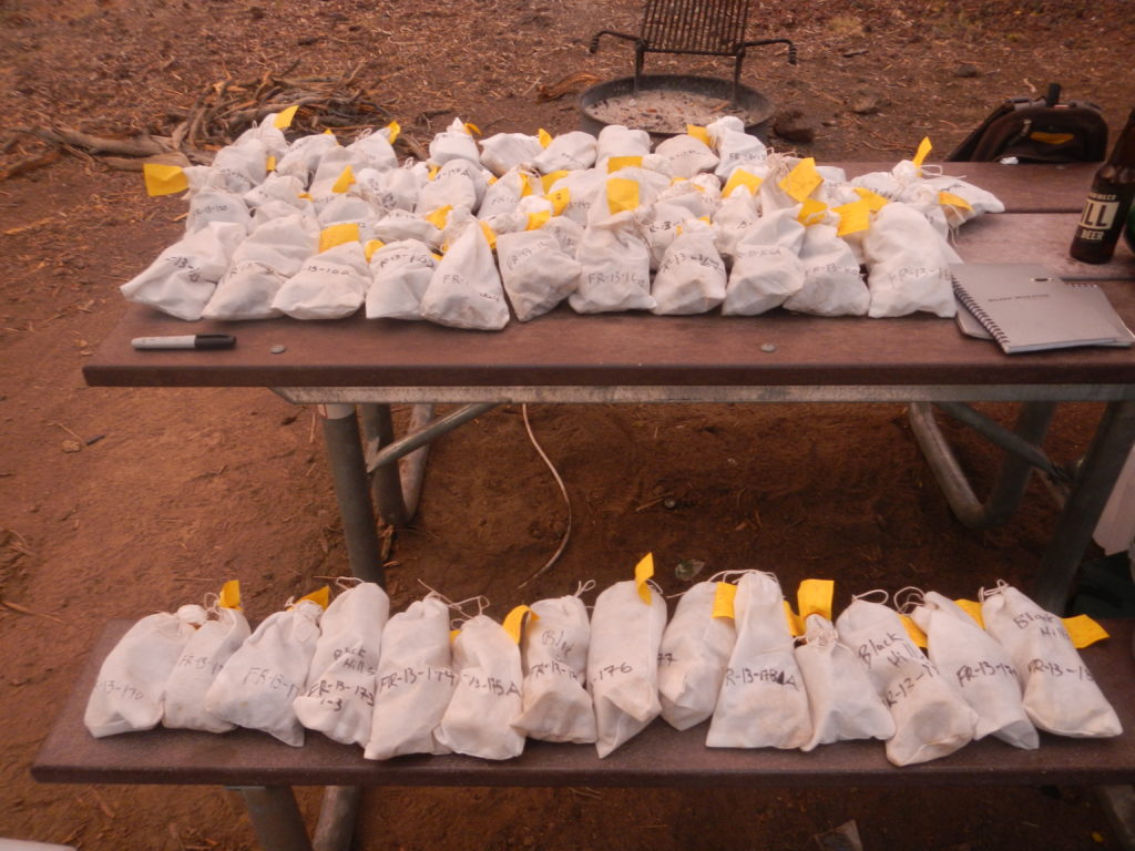 Two weeks-worth of tuff and lava sample from throughout the Fort Rock basin. Photo by Matthew Nikitczuk.