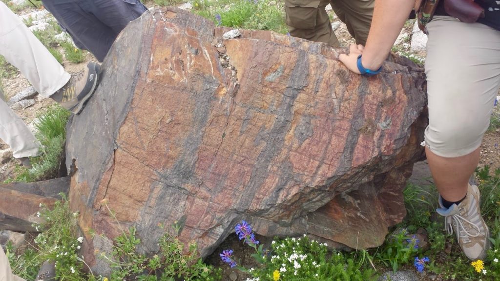 Visible bedding and load casts in the Ophir.