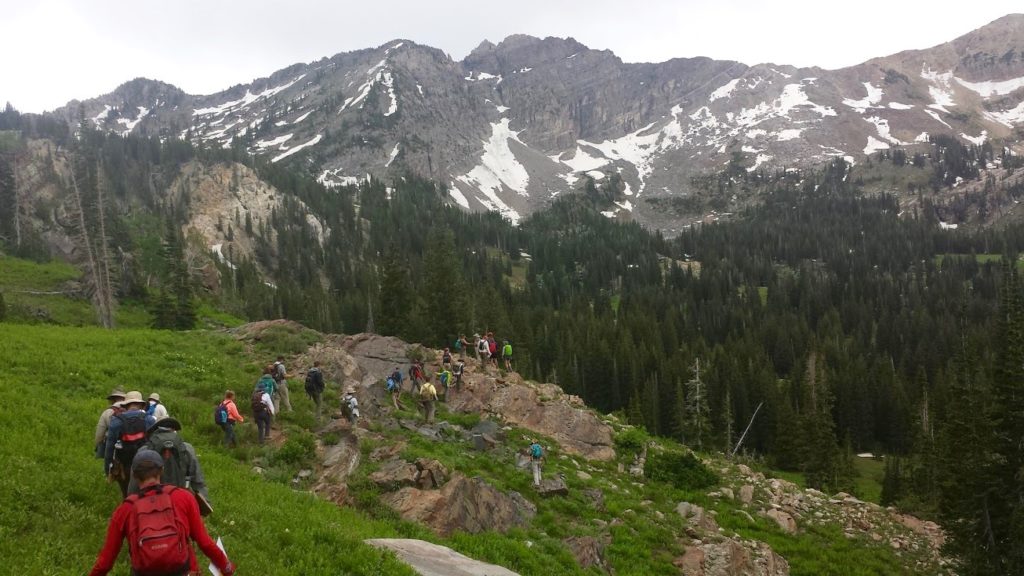 Approaching the Alta Ophir.