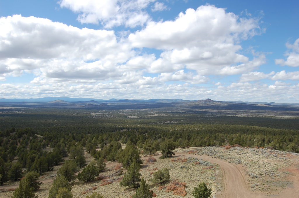 A view of the Fort Rock basin from atop Green Mountain. Multiple volcanic peaks can be seen in the distance across the landscape. Photo by Matthew Nikitczuk.