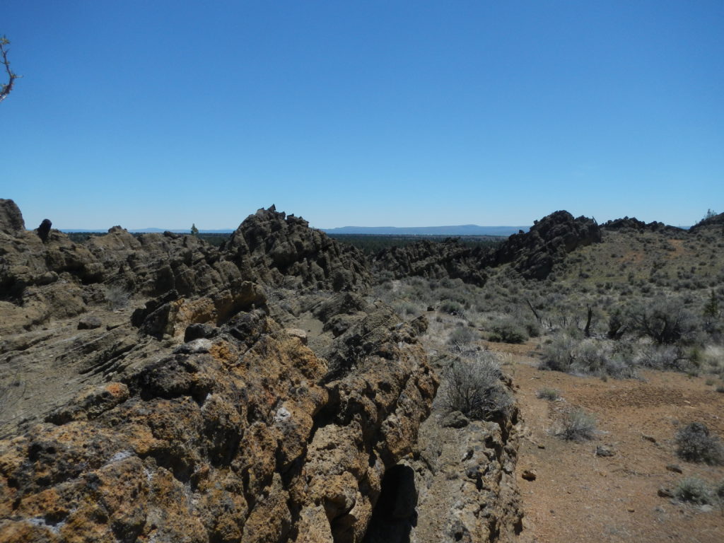 A view from inside the Reed Rock tuff ring. The outer tuff layers are visibly dipping to the left, away from the vent. Photo by Matthew Nikitczuk.