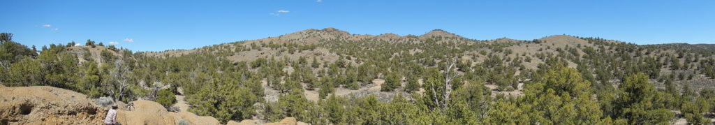 A view from inside the Black Hills study site. Several peaks that are portions of intermingled tuff rings are visible. The largest one on the right actually has an intrusive dike. Dr. Mariek Schmidt at left, searching for samples. Photo by Matthew Nikitczuk.