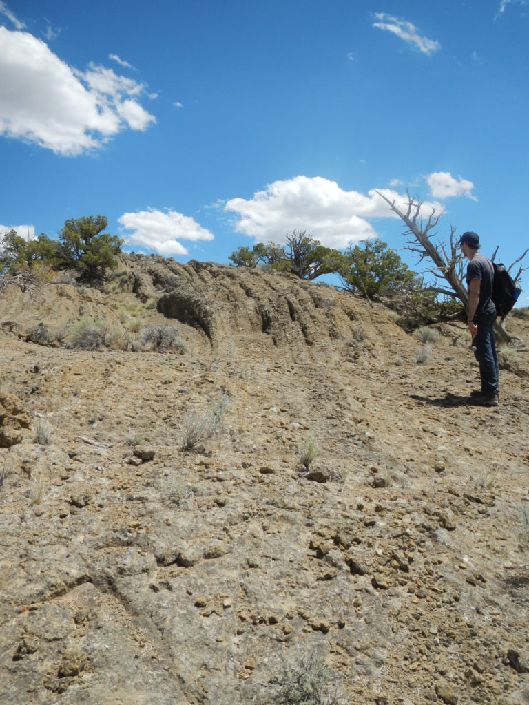 Frank Popoli, another Master's student of Dr. Schmidt's, examines an exposure or curved layers of tuff at the top of a tuff ring in the Black Hills. Photo by Matthew Nikitczuk.