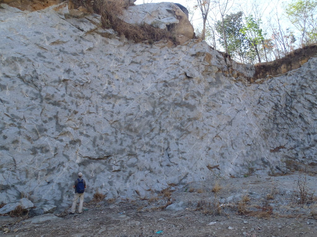 Incipient charnockites at Kottavattom. Photo: Eleanore Blereau