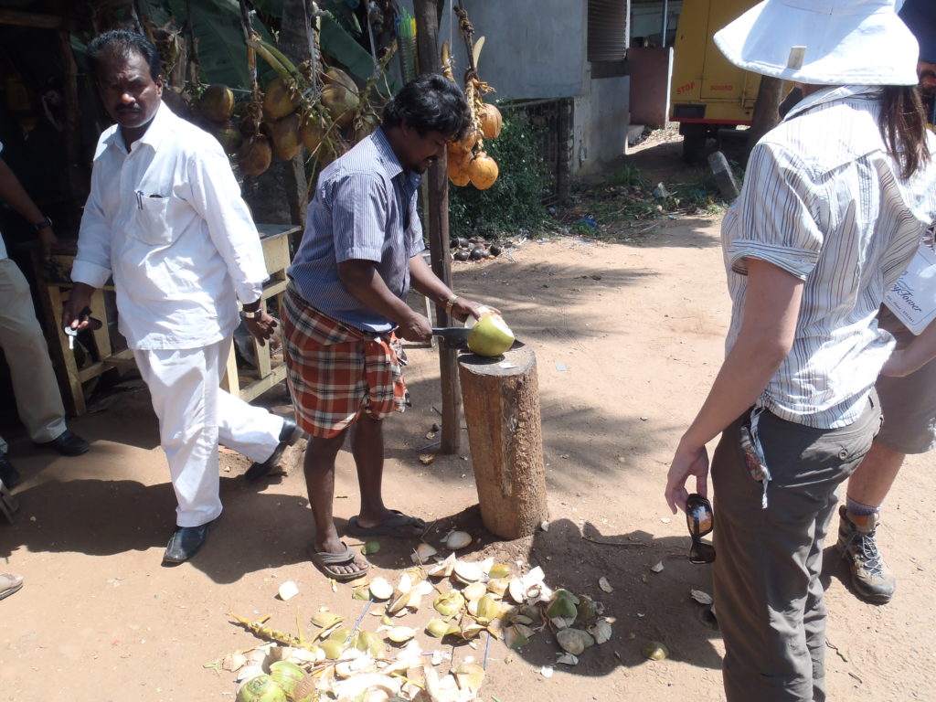 Fresh coconuts at a pit stop. Photo: Eleanore Blereau