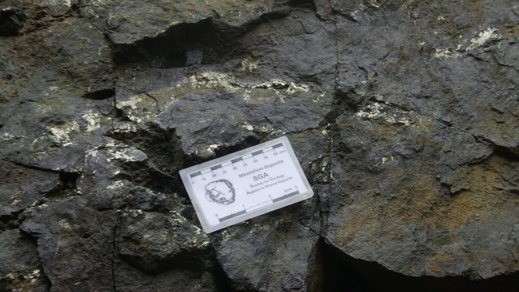 This rock contains mostly magnetite with pyrite.