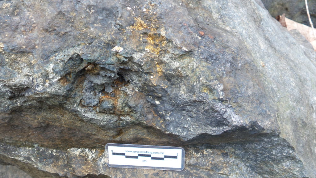 Esta roca contiene granate, magnetita, calcopirita y óxidos
