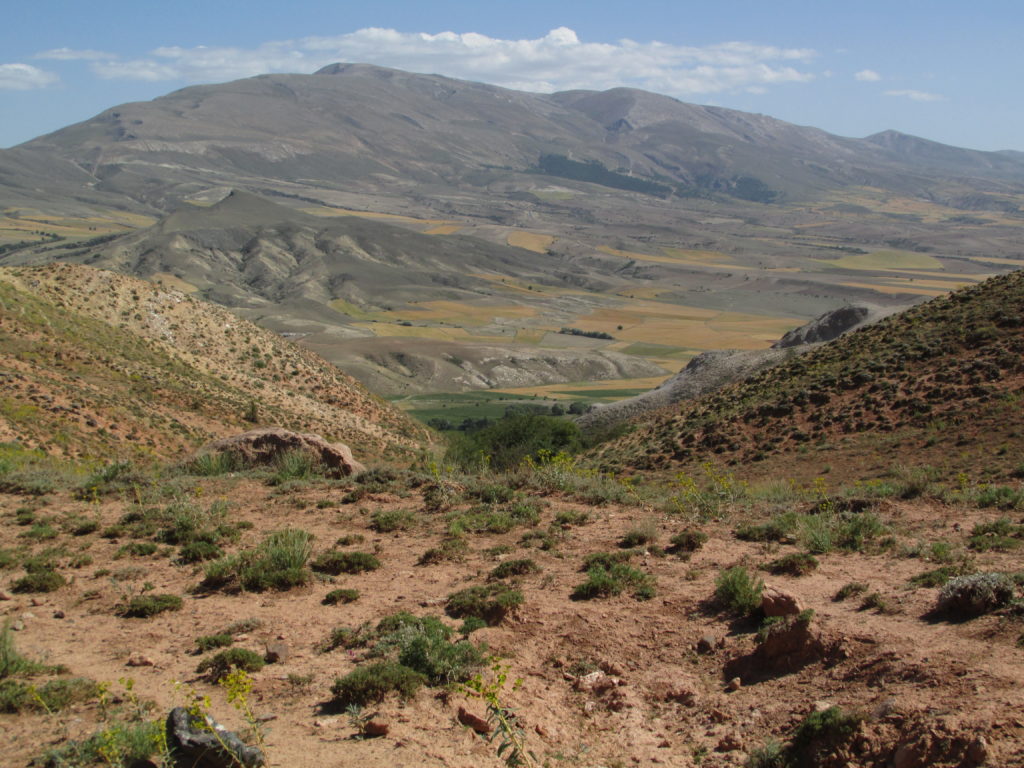 View of Hınzır Dağı and the broad valley where we began our geologic mapping in central Turkey.