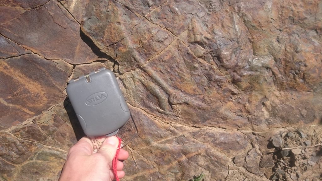 Figure 5 – Thallassinoides burrow with compass clinometer for scale.