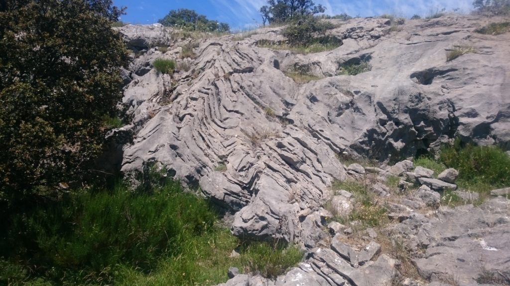 Figure 6 – Extensivly deformed Devonian Limestone