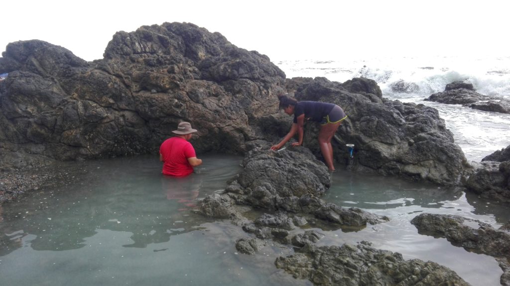 Making haste while measuring the drill-holes due to upcoming water, Montezuma beach