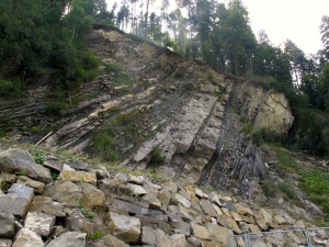Central Alps – Flysch and Molasse