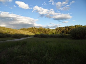 Robison Bonebed, Idaho with LJ Krumenacker