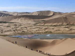 Dunes and Yardangs of Western China by Jani Radebaugh