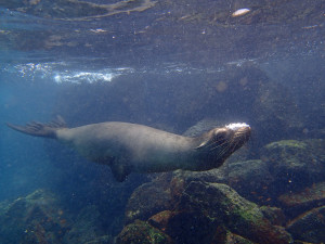 Quito and the Galapagos Islands with Jonathan Dean