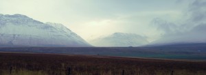 Biologic Weathering on Iceland with Ria Mitchell