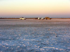 Makgadikgadi: The story of a lake with Sallie Burrough