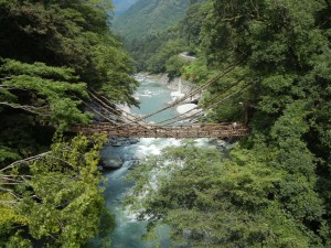 The Sanbagawa Metamorphic Belt, Japan with Owen Weller