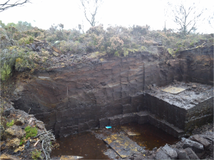 Pine horizons in Northern Ireland Peat Bogs with Max Torbenson