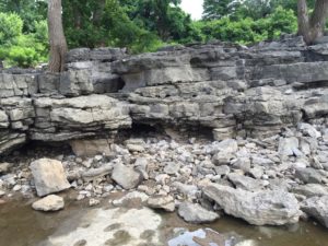 The Falls of the Ohio State Park with Sandie Will