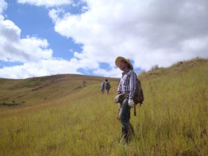 Unveiling mid-Neoproterozoic magmatism in Madagascar with Jiu-Long Zhou