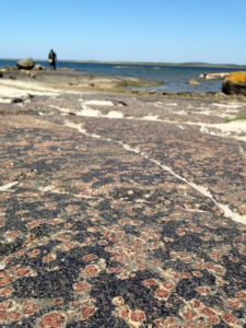 Lifting the lid of a mountain: field mapping among Precambrian eclogites in southern Sweden with Lorraine Tual