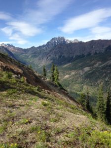 A Record of the Evolving Eocene Tectonics of the Pacific Northwest in the Swauk Formation, Central Washington